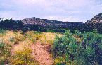 Panorama view 1