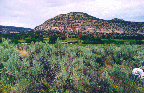Panorama view 2